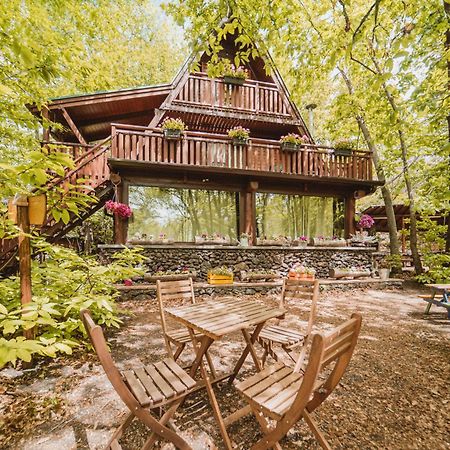 Matilde'S Chalet Etna Nature House Nicolosi Dış mekan fotoğraf