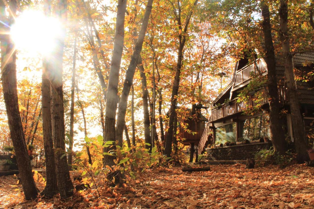 Matilde'S Chalet Etna Nature House Nicolosi Dış mekan fotoğraf