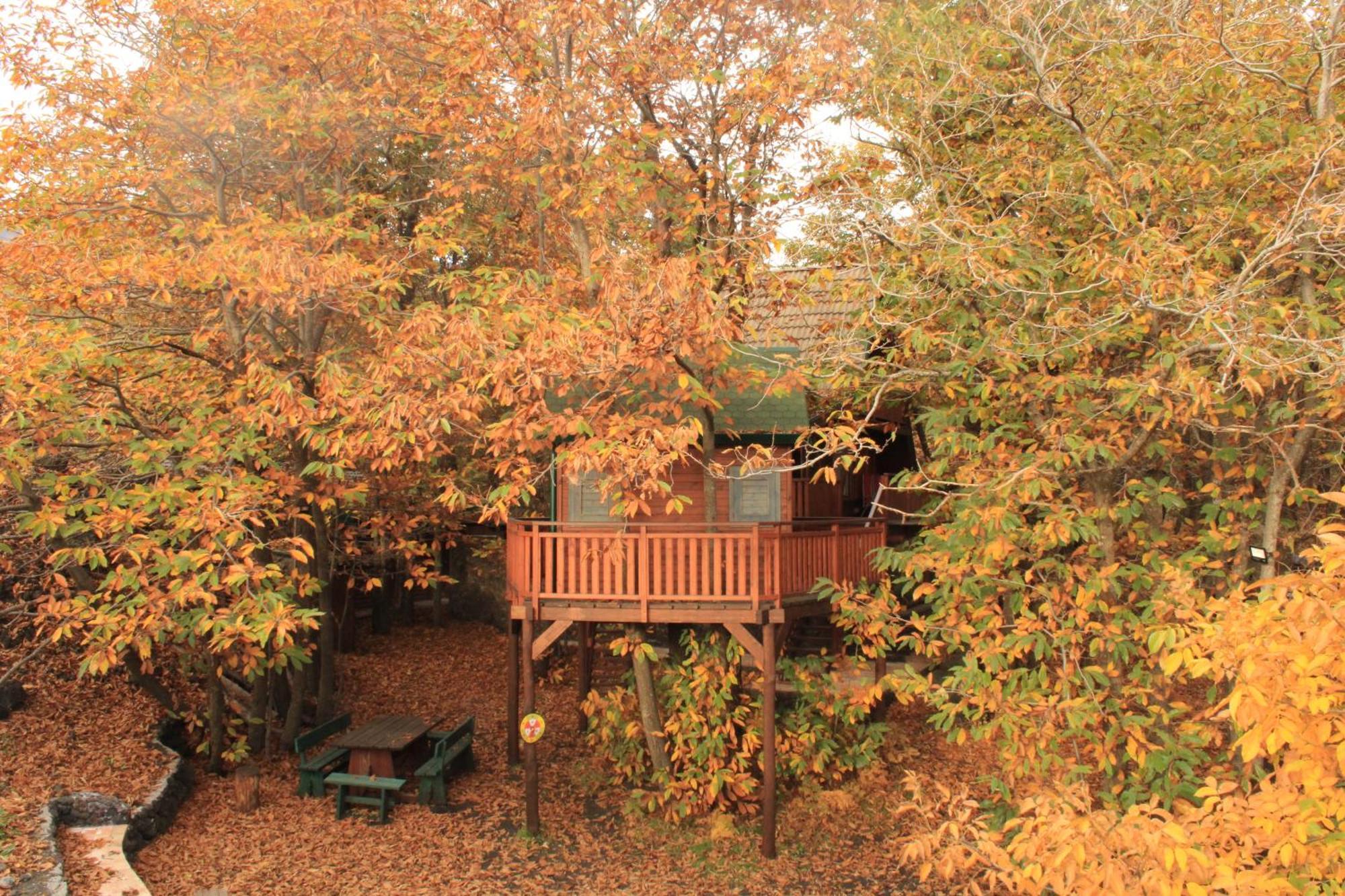 Matilde'S Chalet Etna Nature House Nicolosi Dış mekan fotoğraf
