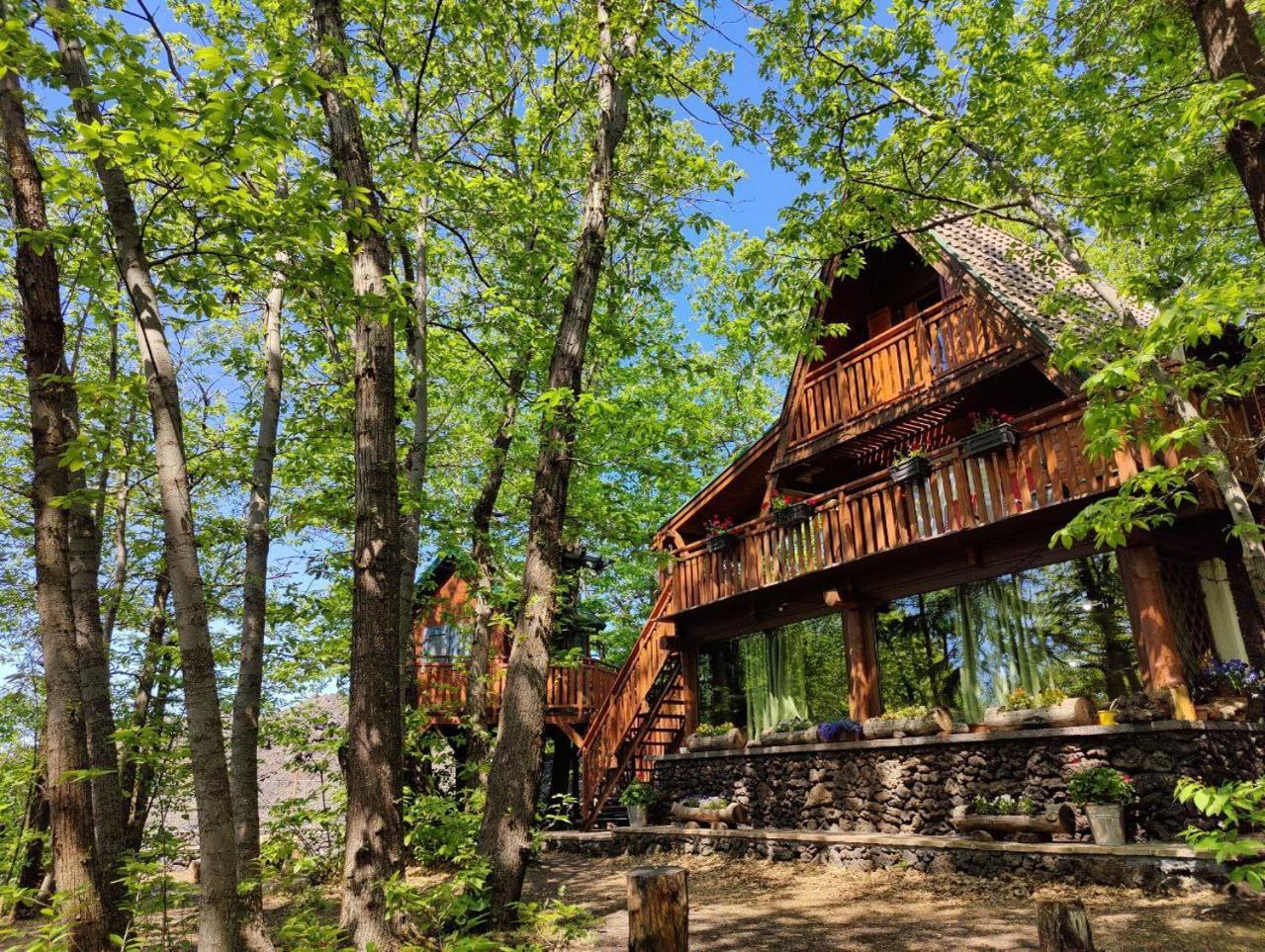 Matilde'S Chalet Etna Nature House Nicolosi Dış mekan fotoğraf