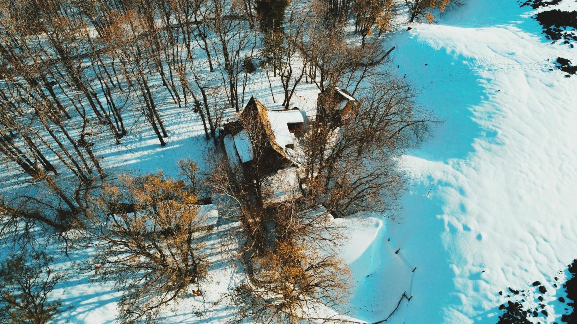 Matilde'S Chalet Etna Nature House Nicolosi Dış mekan fotoğraf